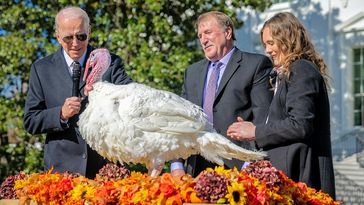 Joe Biden mit Truthahn vor dem Weißen Haus, 21.11.2022