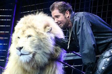 Bild: "obs/Aktionsbündnis "Tiere gehören zum Circus"/Astrid Reuber"