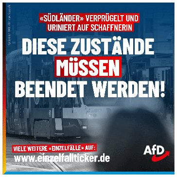 Bild: AfD Deutschland