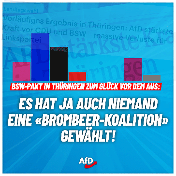 Bild: AfD Deutschland