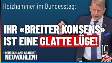 Bild: AfD Deutschland