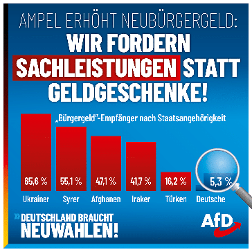 Bild: AfD Deutschland