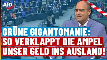 Bild: AfD Deutschland