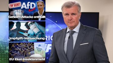 Bernhard Riegler (2025) Bild: AUF1 / Eigenes Werk