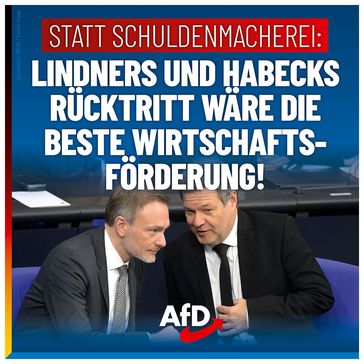 Bild: AfD Deutschland