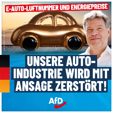 Bild: AfD Deutschland