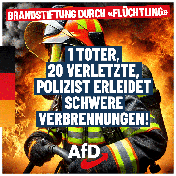 Bild: AfD Deutschland