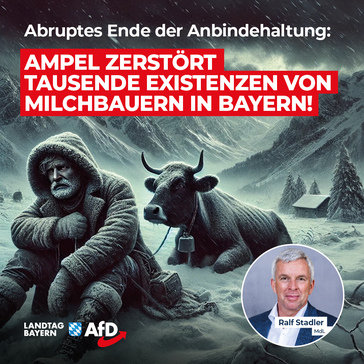 Bild: AfD Deutschland