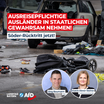 Bild: AfD Deutschland