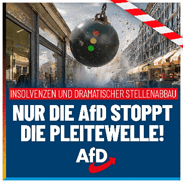 Bild: AfD Deutschland