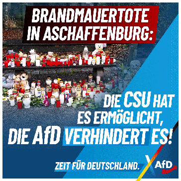 Bild: AfD Deutschland