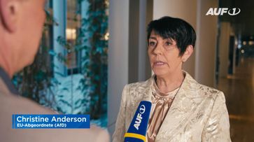 Christine Anderson (2025) Bild: AUF1 / Eigenes Werk