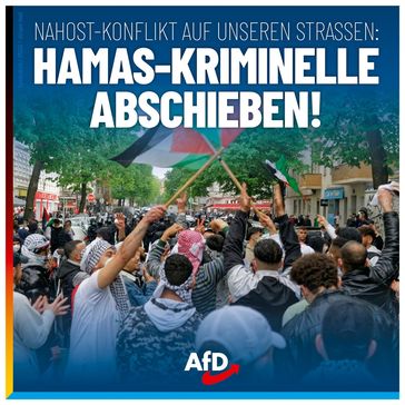 Bild: AfD Deutschland