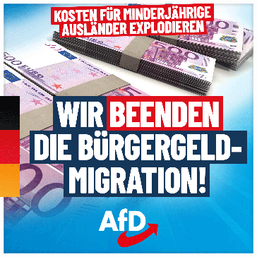 Bild: AfD Deutschland