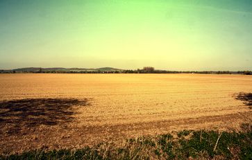 Agrarwüste in Deutschland: Alles dank "Agro-Landwirtschaft", was von Aggressiver Landwirtschaft kommt (Symbolbild)