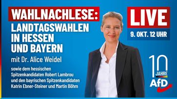 Bild: AfD Deutschland