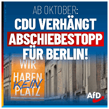 Bild: AfD Deutschland