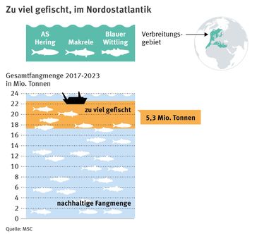 5,3 Millionen Tonnen Fisch hätten bei nachhaltiger Befischung im Meer bleiben müssen