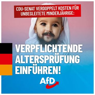 Bild: AfD Deutschland