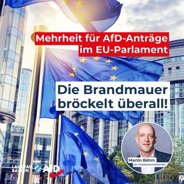 Bild: AfD Deutschland