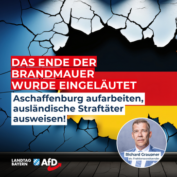 Bild: AfD Deutschland