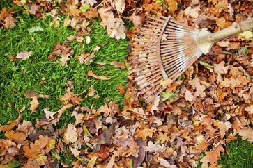 Gartentipps für den Herbst