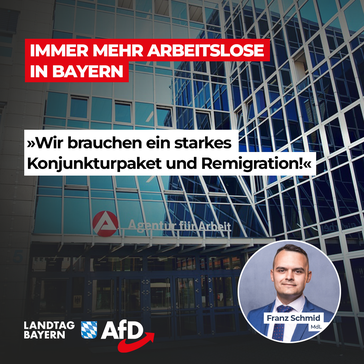 Bild: AfD Deutschland