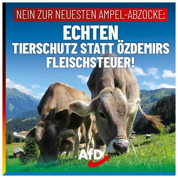 Bild: AfD Deutschland