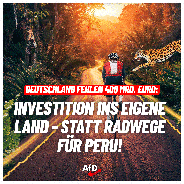 Bild: AfD Deutschland