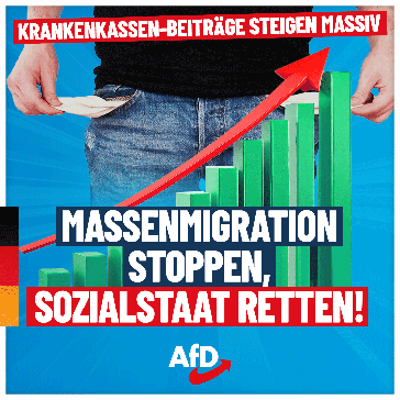 Bild: AfD Deutschland