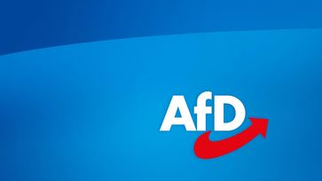 Der AfD-Programmentwurf für die Bundestagswahl 2025 ist fertig