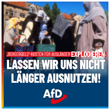 Bild: AfD Deutschland