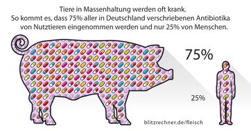 Eines der größten Probleme der intensiven Tierzucht ist der hohe Einsatz von Antibiotika. Da Tiere in Massenhaltung schnell krank werden, müssen sie besonders häufig behandelt werden. So kommt es, dass 75% aller in Deutschland verschriebenen Antibiotika von Tieren eingenommen werden - und nur 25% von Menschen.