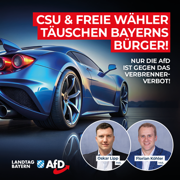 Bild: AfD Deutschland