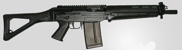 SG 751 SAPR (SWISS ARMS Precision Rifle)