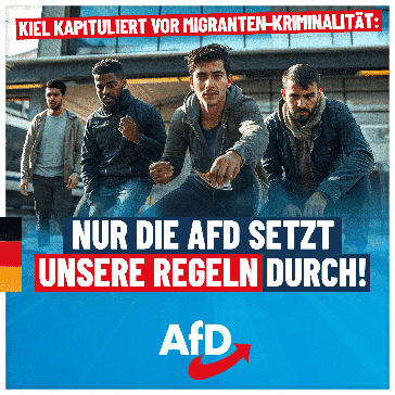 Bild: AfD Deutschland