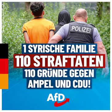 Bild: AfD Deutschland