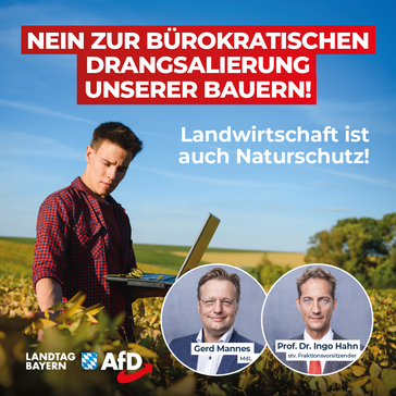 Bild: AfD Deutschland