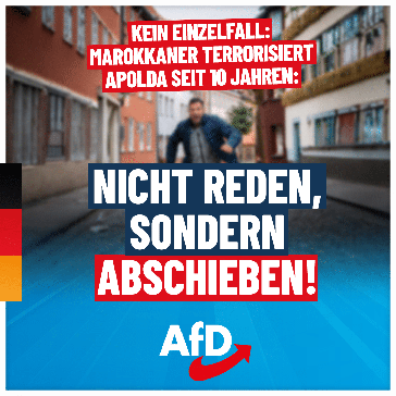 Bild: AfD Deutschland