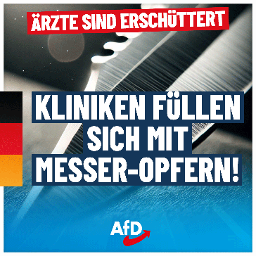 Bild: AfD Deutschland