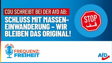 Bild: AfD Deutschland