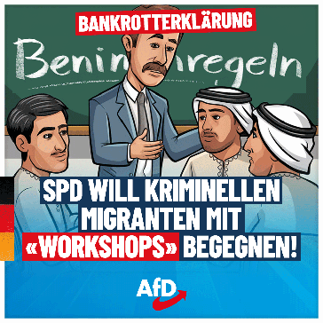 Bild: AfD Deutschland