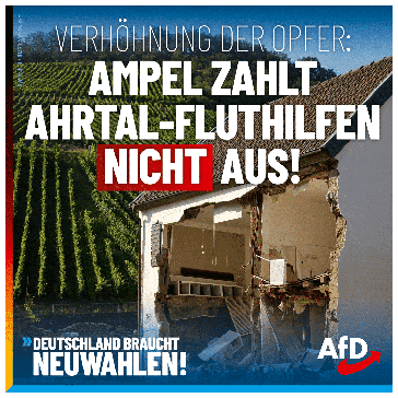 Bild: AfD Deutschland