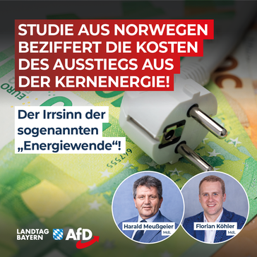 Bild: AfD Deutschland