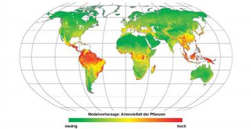 Weltkarte der pflanzlichen Artenvielfalt (c) Nees-Institut der Universität Bonn
