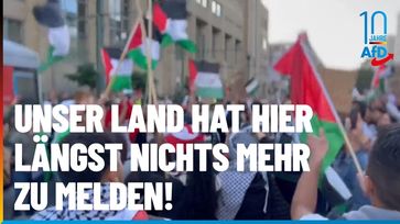 Bild: AfD Deutschland