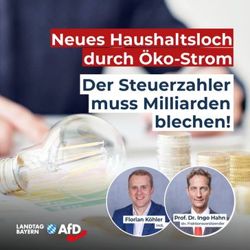 Bild: AfD Deutschland