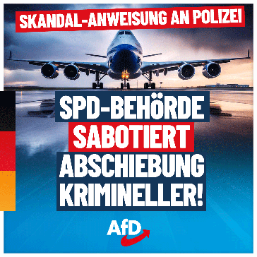 Bild: AfD Deutschland