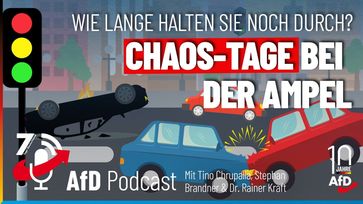 Bild: AfD Deutschland