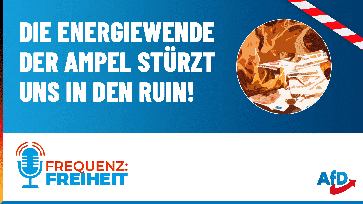 Bild: AfD Deutschland